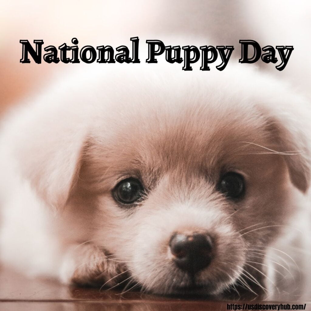 National Puppy Day Images