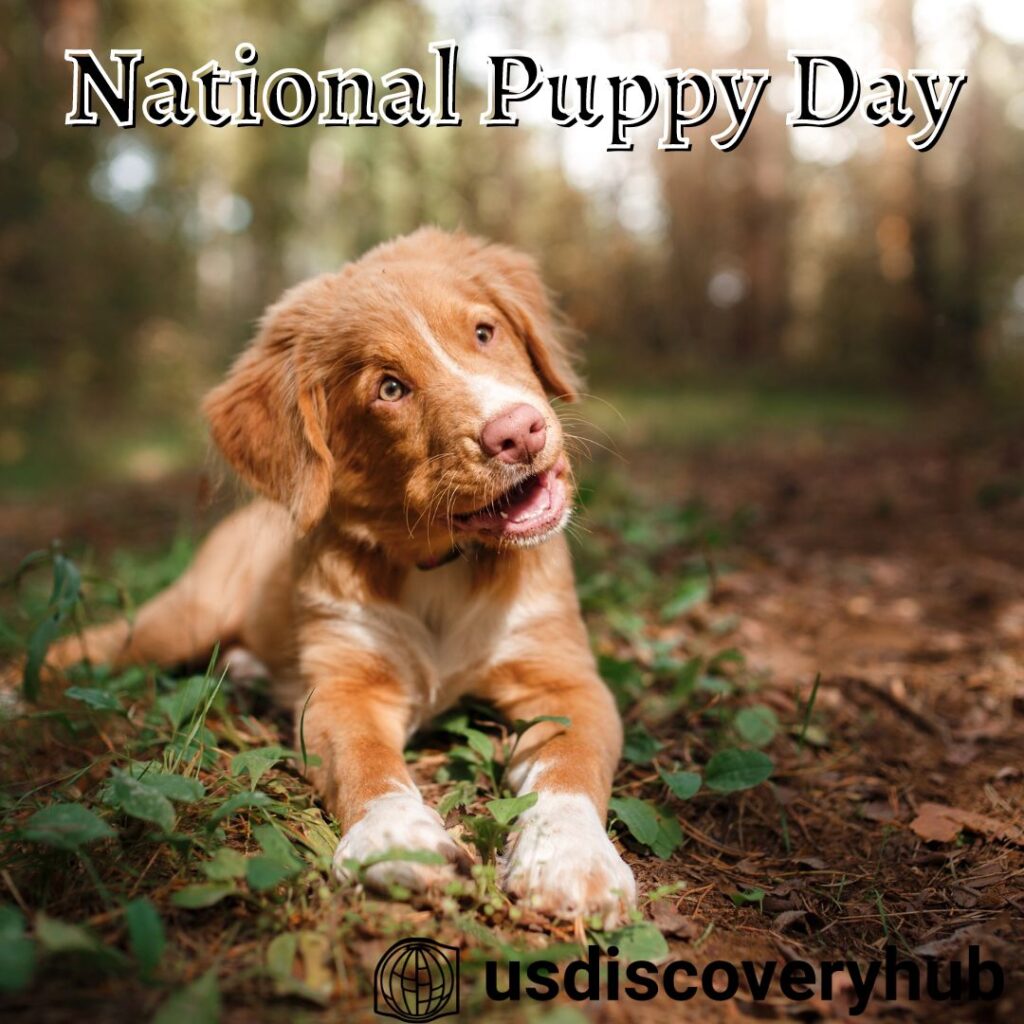 National Puppy Day Images